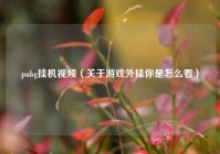 pubg挂机视频（关于游戏外挂你是怎么看）