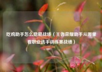 吃鸡助手怎么隐藏战绩（王者荣耀助手从哪里看职业选手训练赛战绩）