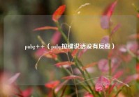 pubg++（pubg按键说话没有反应）