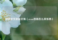 绝地求生装备交易（steam市场怎么卖东西）