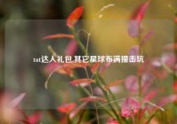 tnt达人礼包,其它星球布满撞击坑