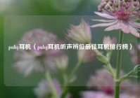 pubg耳机（pubg耳机听声辨位最佳耳机排行榜）