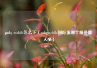 pubg mobile怎么下（pubgmobile国际服哪个服务器人多）