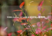 NVIDIA GeForce GT 650M,4G运行玩ps够用吗