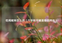 吃鸡昵称怎么改（六字和平精英情侣网名）