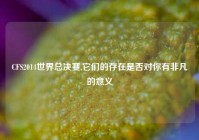 CFS2014世界总决赛,它们的存在是否对你有非凡的意义