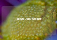 cf刷等级,cf排位等级要求