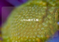 cfi,1018a是什么版