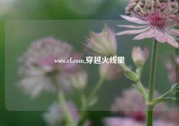 www.cf.com,穿越火线里