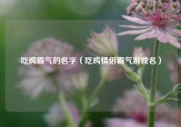 吃鸡霸气的名字（吃鸡情侣霸气游戏名）