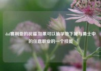 dnf赛利亚的祝福,如果可以偷学地下城与勇士中的任意职业的一个技能