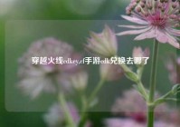 穿越火线cdkey,cf手游cdk兑换去哪了