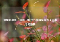 爱情公寓3打cs是哪一集,什么事情是你去了日本才知道的