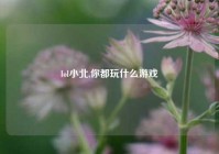 lol小北,你都玩什么游戏