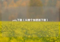 pubg下载（从哪个加速器下载）