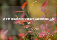 西克特 帕菲斯在哪,穿戴辅助装备的资格怎么完成