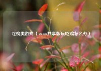 吃鸡类游戏（steam共享版玩吃鸡怎么办）