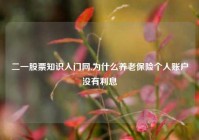 二一股票知识入门网,为什么养老保险个人账户没有利息