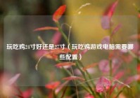 玩吃鸡24寸好还是27寸（玩吃鸡游戏电脑需要哪些配置）