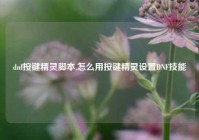 dnf按键精灵脚本,怎么用按键精灵设置DNF技能