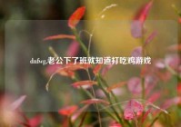 dnfwg,老公下了班就知道打吃鸡游戏