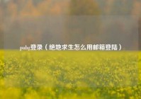 pubg登录（绝地求生怎么用邮箱登陆）