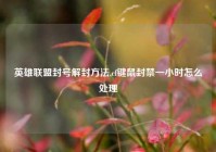 英雄联盟封号解封方法,cf键鼠封禁一小时怎么处理