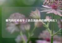 霸气的吃鸡名字（适合消防员的霸气网名）