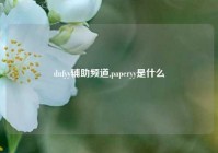 dnfyy辅助频道,paperyy是什么