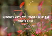 吃鸡游戏搞笑名字大全（你见过最搞笑的王者荣耀的ID是什么）