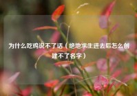 为什么吃鸡说不了话（绝地求生进去后怎么创建不了名字）