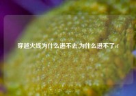 穿越火线为什么进不去,为什么进不了cf