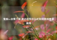 鬼股txt全集下载,通达信导出公式如何直接看见源码