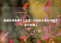 直播吃鸡需要什么配置（吃鸡和永劫无间哪个更吃配置）