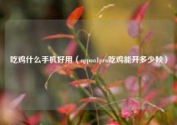 吃鸡什么手机好用（oppoa1pro吃鸡能开多少帧）