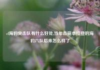 cf海豹突击队有什么好处,当年击毙本拉登的海豹六队后来怎么样了