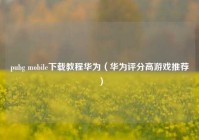 pubg mobile下载教程华为（华为评分高游戏推荐）