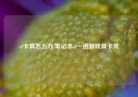 cf卡屏怎么办,笔记本cf一进游戏就卡死