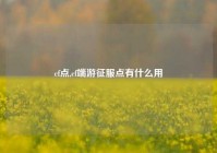 cf点,cf端游征服点有什么用