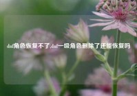 dnf角色恢复不了,dnf一级角色删除了还能恢复吗