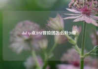 dnf tp点,DNF冒险团怎么升20级