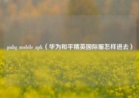 pubg mobile apk（华为和平精英国际服怎样进去）