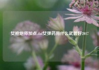 女枪炮师加点,dnf女弹药用什么武器好2017