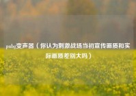 pubg变声器（你认为刺激战场当初宣传画质和实际画质差别大吗）