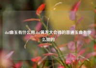 dnf曲玉有什么用,dnf黄龙大会得的普通玉曲有什么用的