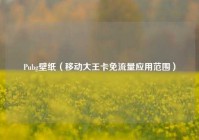 Pubg壁纸（移动大王卡免流量应用范围）