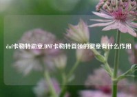 dnf卡勒特勋章,DNF卡勒特首领的徽章有什么作用