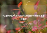 气功穿什么甲,当代易学大师邵伟华有哪些杰出的弟子