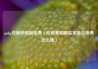 pubg兑换码领取免费（吃鸡里的极品宝箱兑换券怎么用）