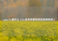 pubg lite是什么（lite击杀效果如何改成绿色的）